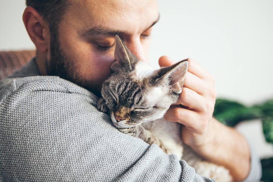 Cat And Man, Portrait Of Happy Cat With Close Eyes And Young Bea